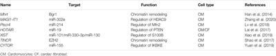 Long Non-Coding RNAs in Cardiac Hypertrophy